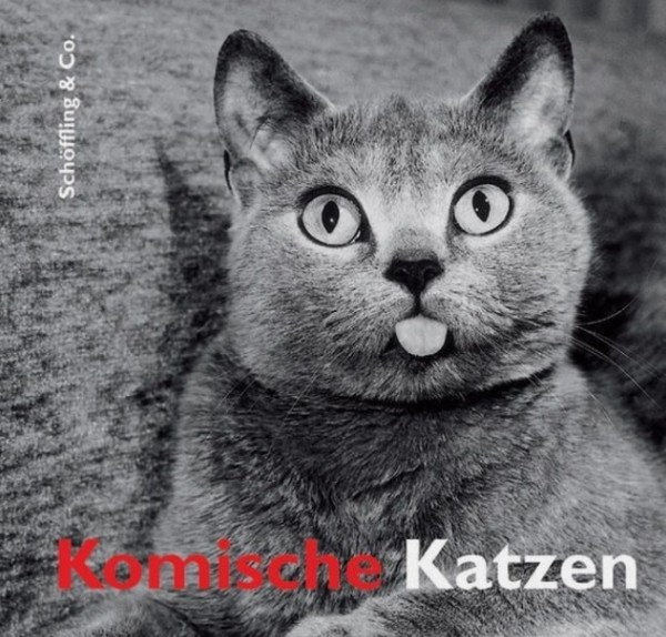 Schöffling Buch: Komische Katzen