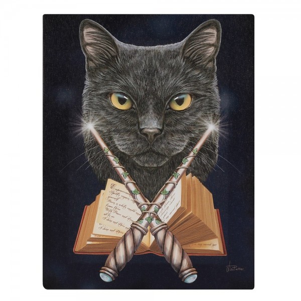 Canvas Art 19 x 25 cm Magick Maker