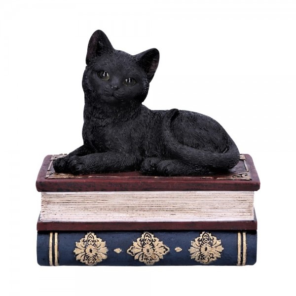 Salem Spells Spell Box