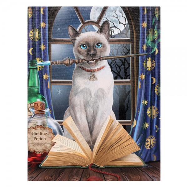 Canvas Art 19 x 25 cm Hocus Pocus