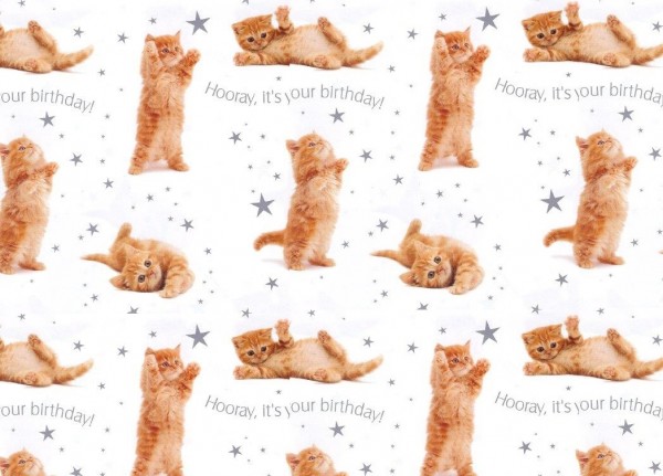 Gift Wrap Hooray with tag