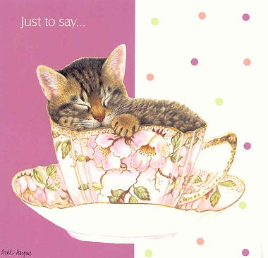 Klappkarte Just to say - Kitten