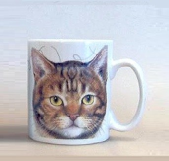 Becher Tabby Cat
