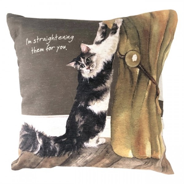 TLDL Cushion Maine Coon Cat