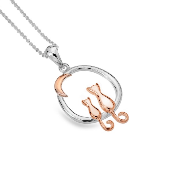 Silver Necklace Twilight