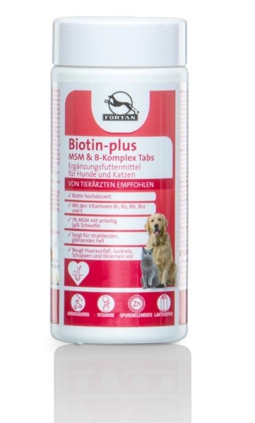 Fortan Biotin+MSM, 100 g (125 Tbl.)