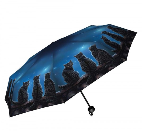 Umbrella Wish Upon a Star