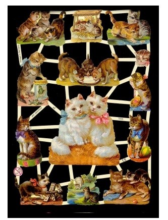 Glanzbild Katzenduo,1 Bogen