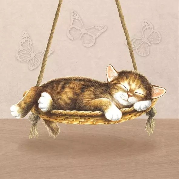 Napkins Dreaming Cat