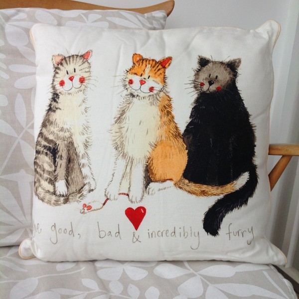 Cushion The Good The Bad